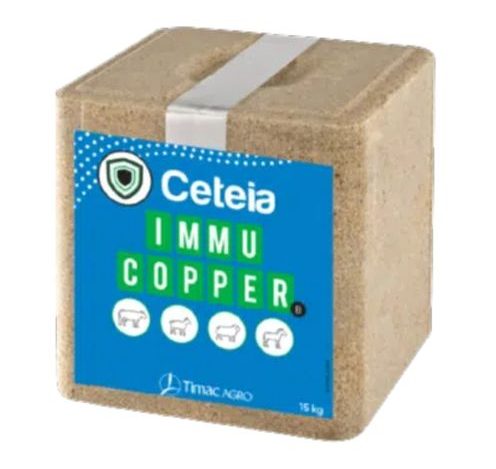 Ceteia Immu Copper Mineral Block